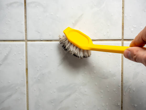 Best DIY Mold Remediation Support Services in Hudson, TX
