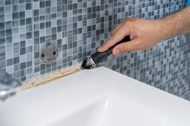 Best Post-Flood Mold Remediation in Hudson, TX