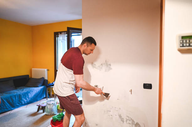 Best Bathroom Mold Remediation in Hudson, TX