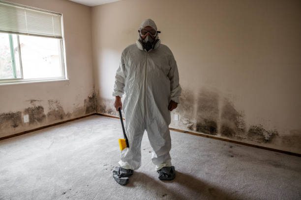 Best Mold Remediation for Specific Building Types in Hudson, TX